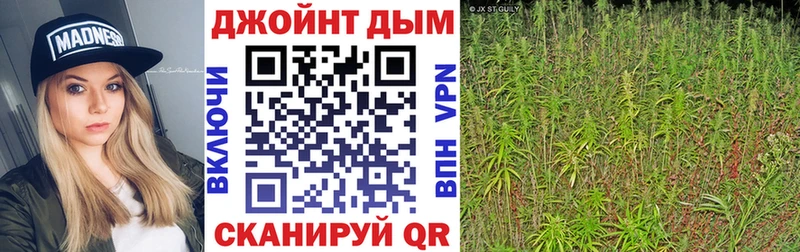Шишки марихуана семена Юрьев-Польский